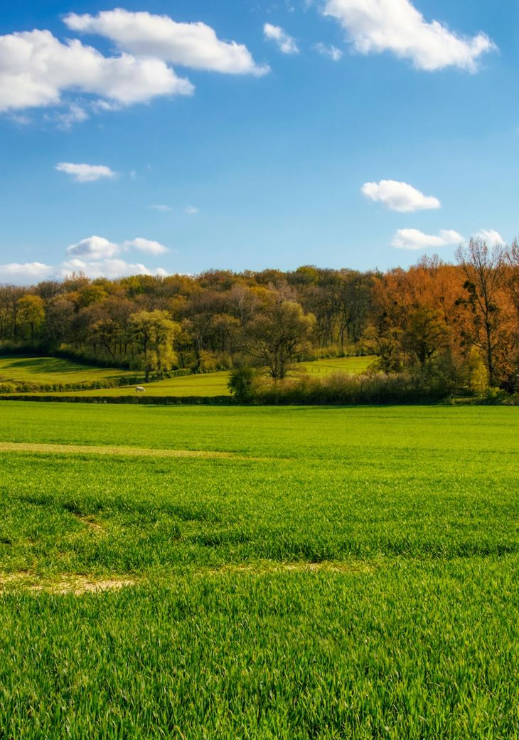 Clement Remond 8Kp8lz4ntxy Unsplash